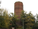 Zamek w Kruszwicy - Mysia wieża Foto